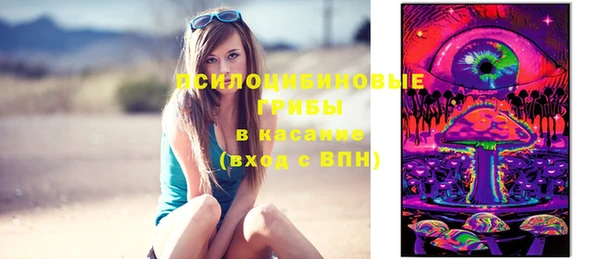эйфоретик Богородицк